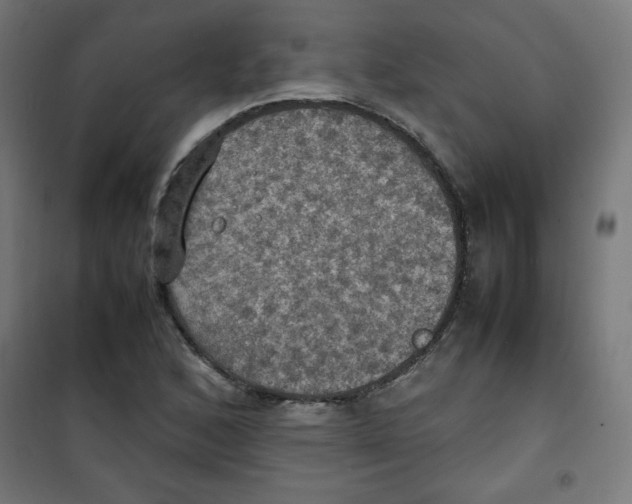 X0000100311168200807031140