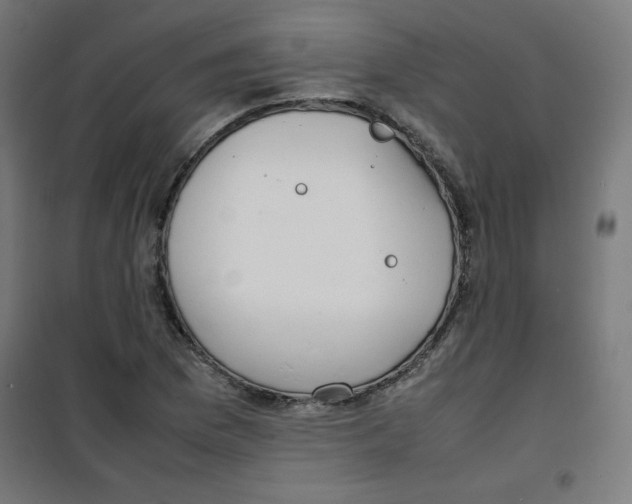 X0000100311169200807031140