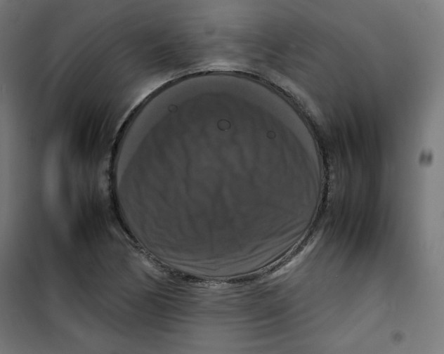 X0000100311170200807031139