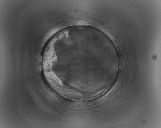 X0000100311171200807031139