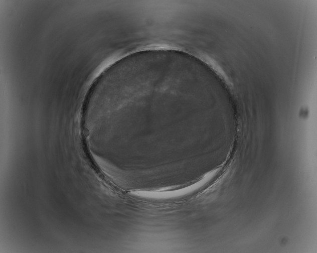 X0000100311173200807031139