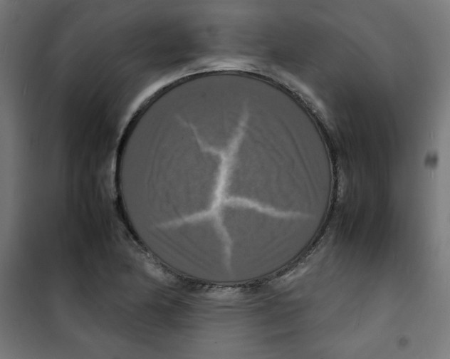 X0000100311174200807031139