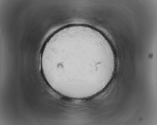 X0000100311175200807031139