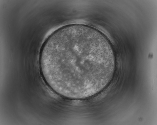 X0000100311176200807031139