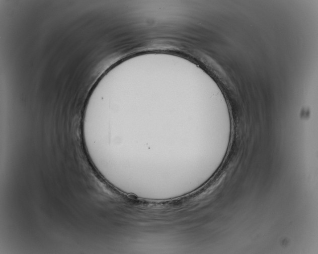 X0000100311177200807031139