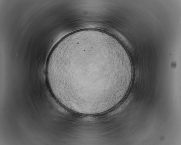 X0000100311178200807031139