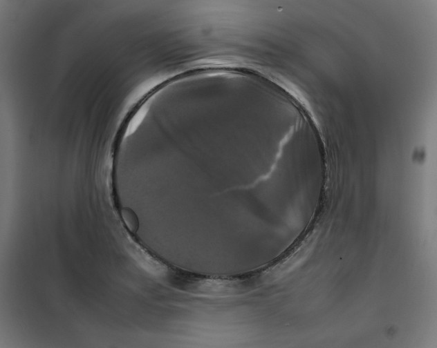 X0000100311179200807031139