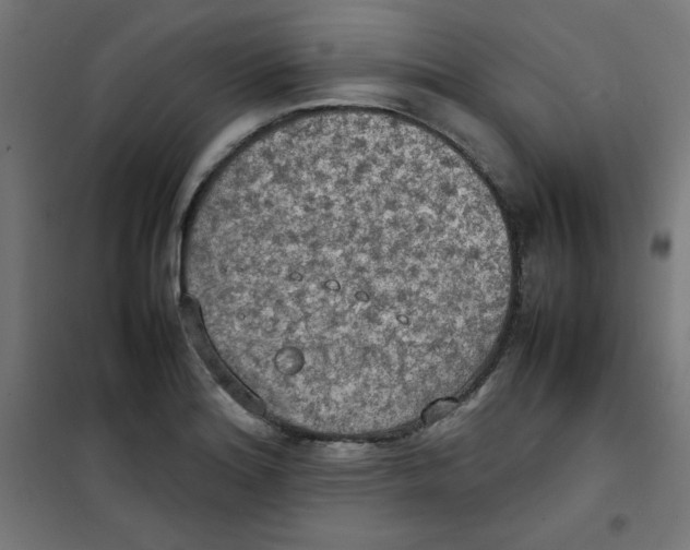 X0000100311180200807031139