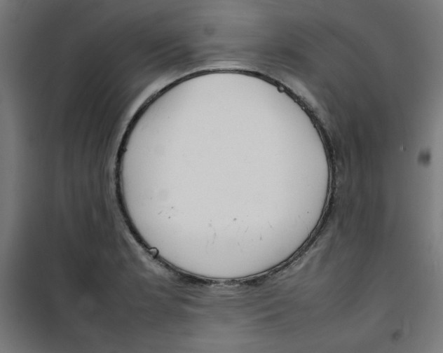 X0000100311181200807031139