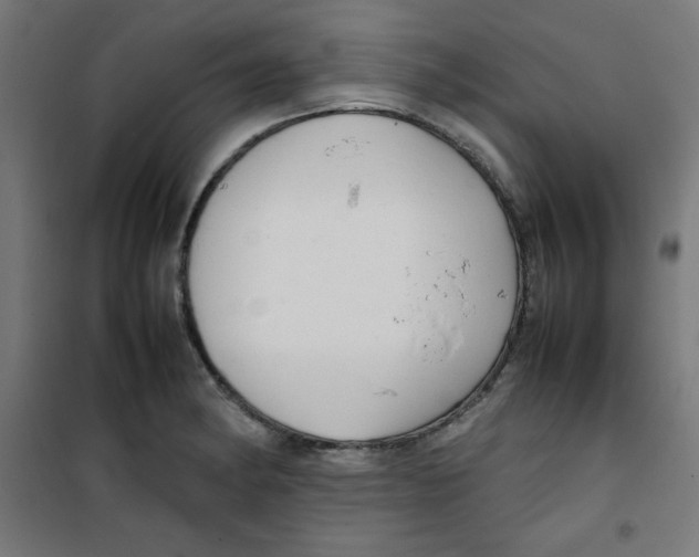 X0000100311182200807031139