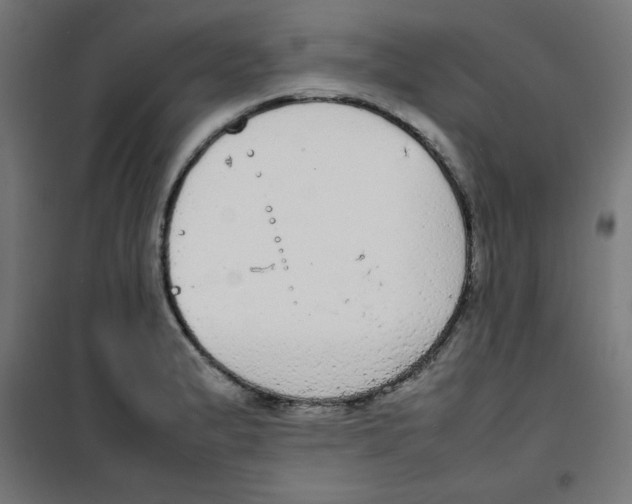 X0000100311183200807031139