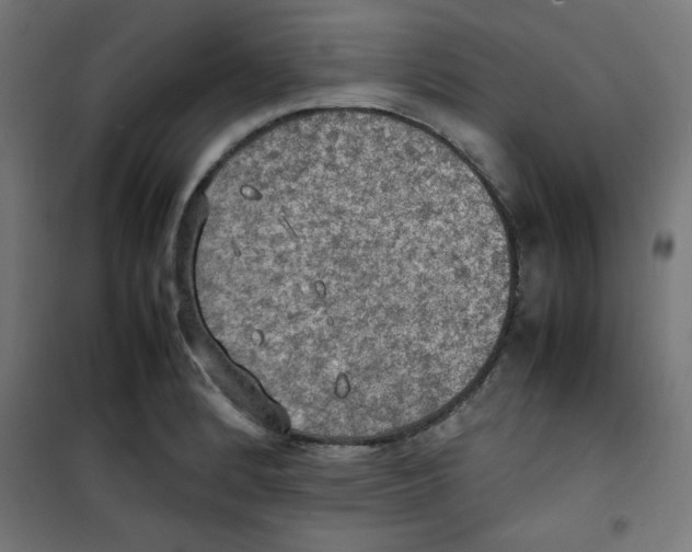 X0000100311184200807031139