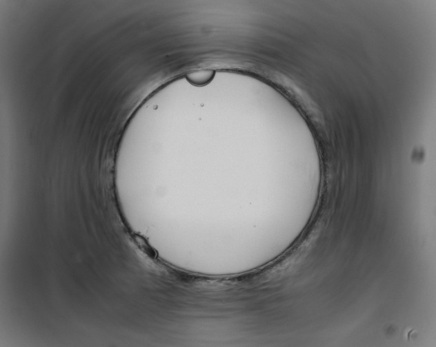 X0000100311185200807031139