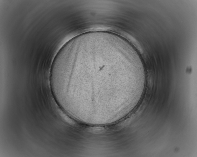 X0000100311186200807031139