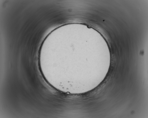 X0000100311187200807031139