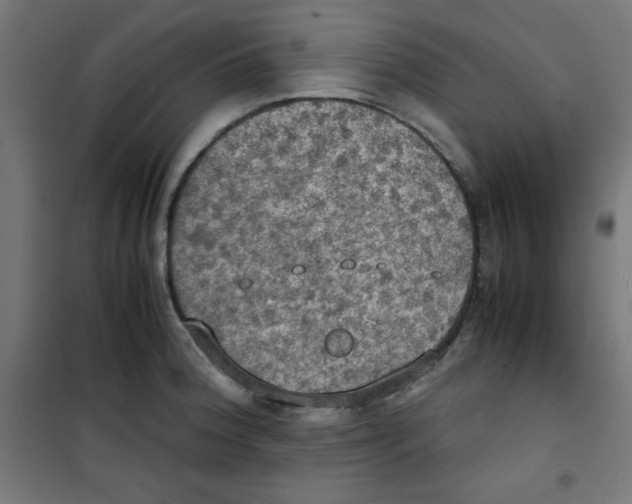 X0000100311188200807031139