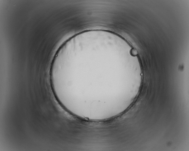 X0000100311189200807031139