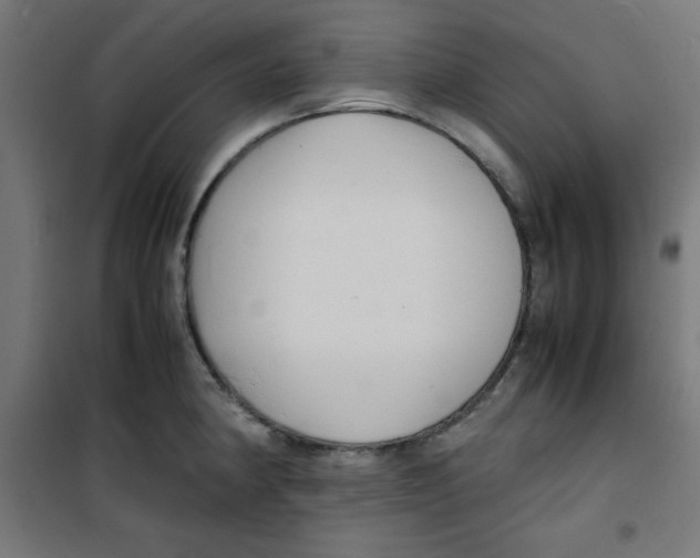 X0000100311190200807031139