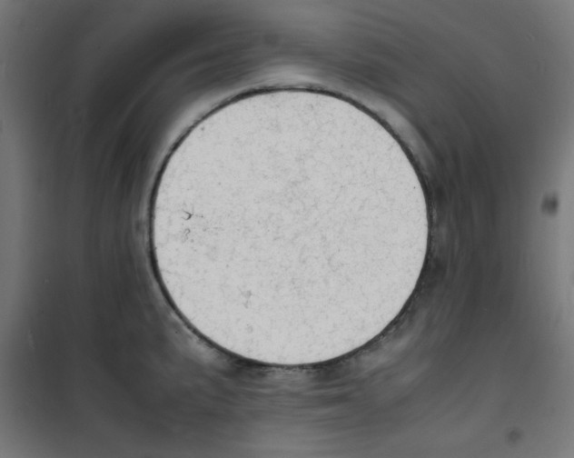 X0000100311191200807031139