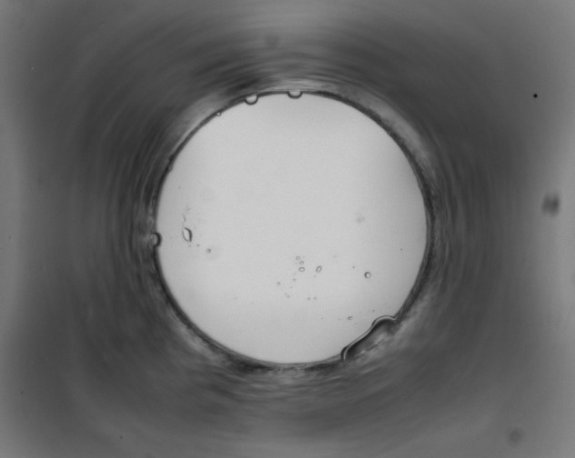 X0000100311193200807031139