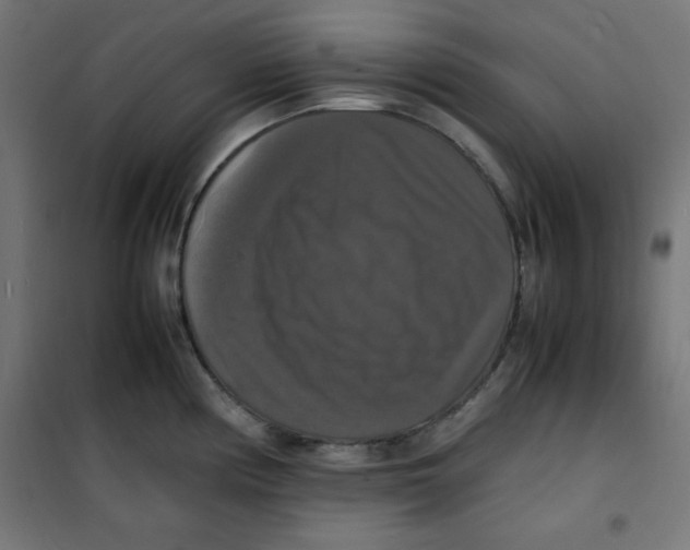 X0000100311194200807031139
