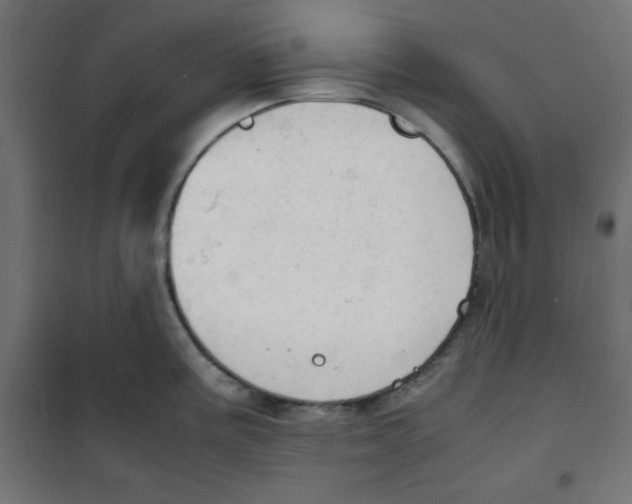 X0000100311195200807031139