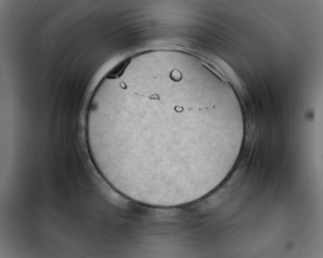 X0000100311196200807031139