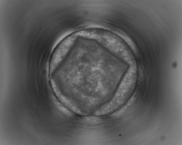 X0000100311198200807031139