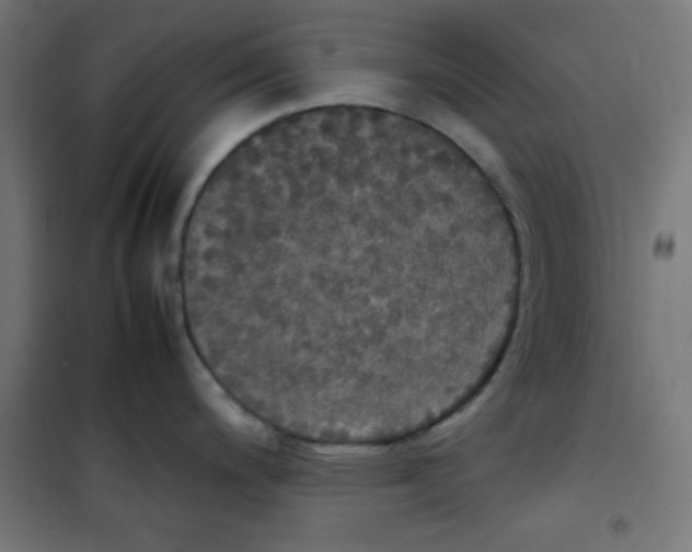 X0000100311200200807031139