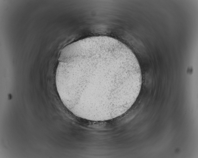 X0000100311201200807031138