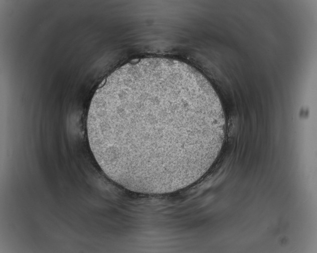 X0000100311202200807031138