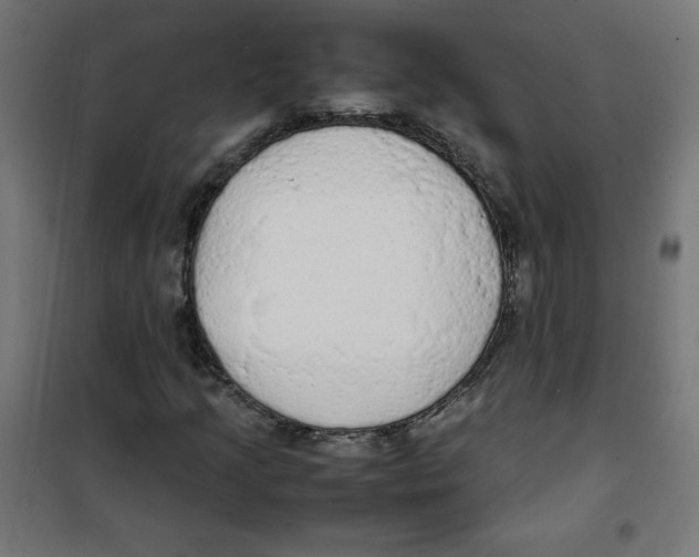 X0000100311205200807031138