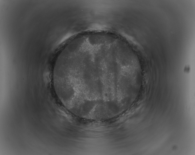 X0000100311206200807031138