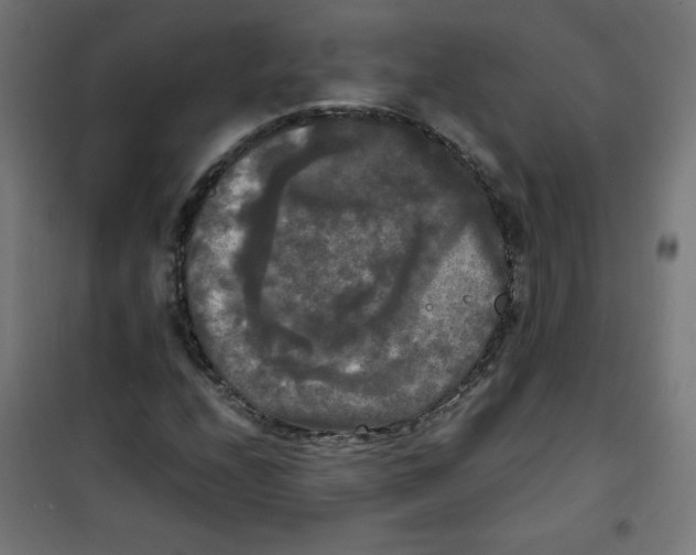 X0000100311208200807031139