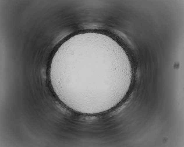 X0000100311209200807031139