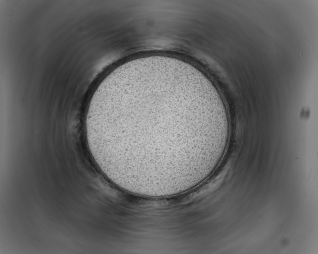 X0000100311210200807031139