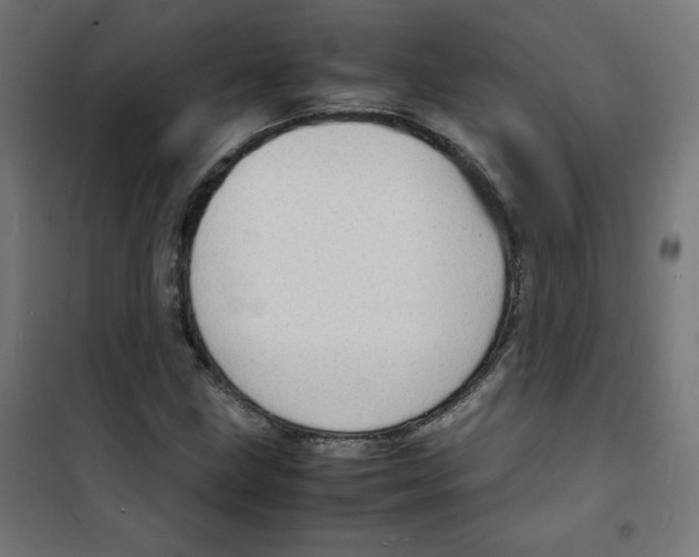 X0000100311211200807031139