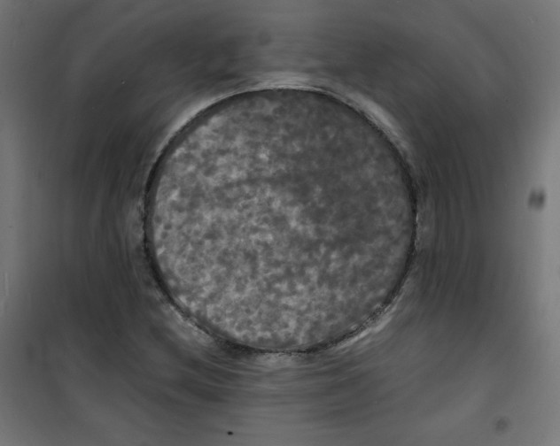 X0000100311212200807031139
