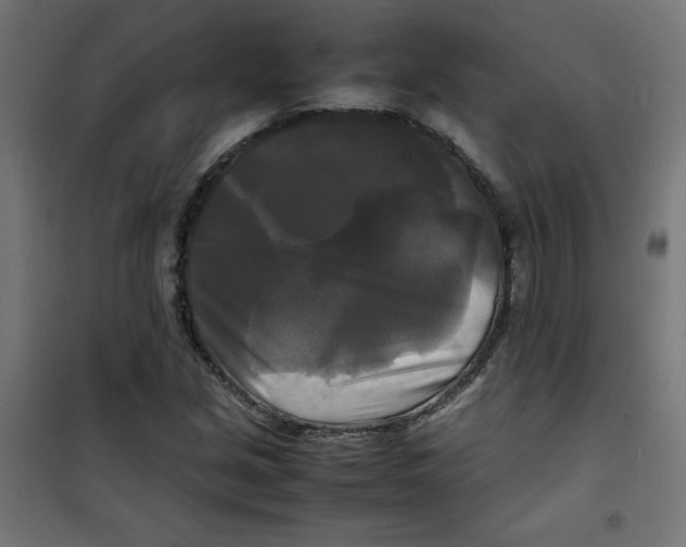 X0000100311213200807031139