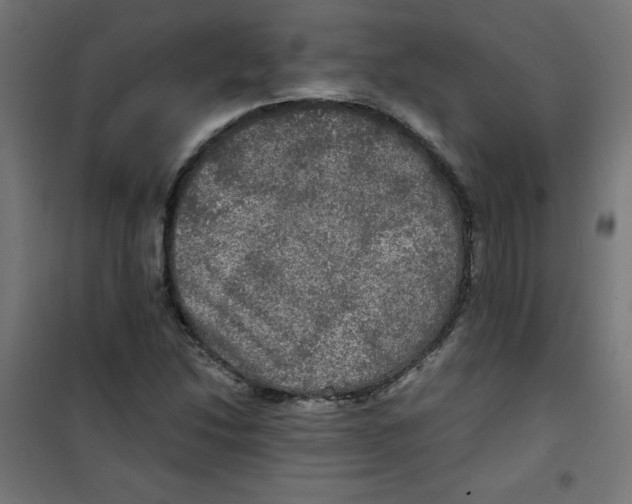 X0000100311214200807031139