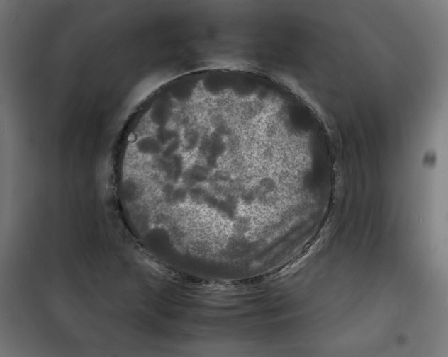 X0000100311215200807031139