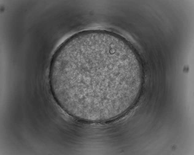 X0000100311216200807031139