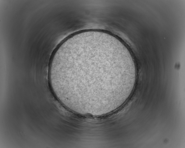 X0000100311220200807031139