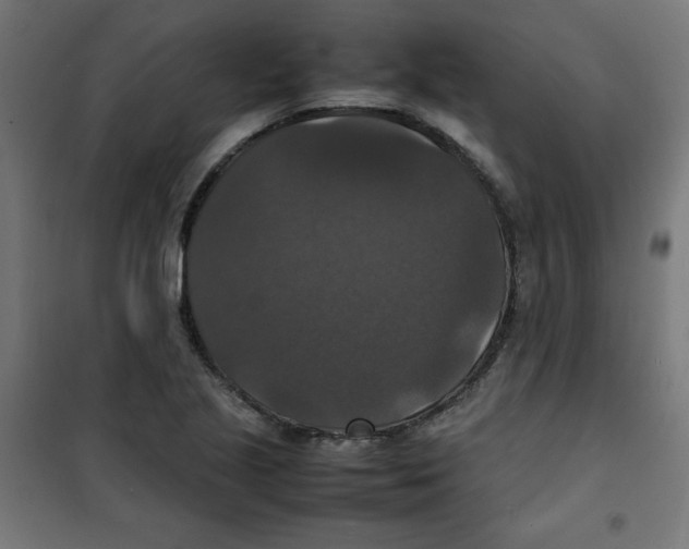 X0000100311221200807031139