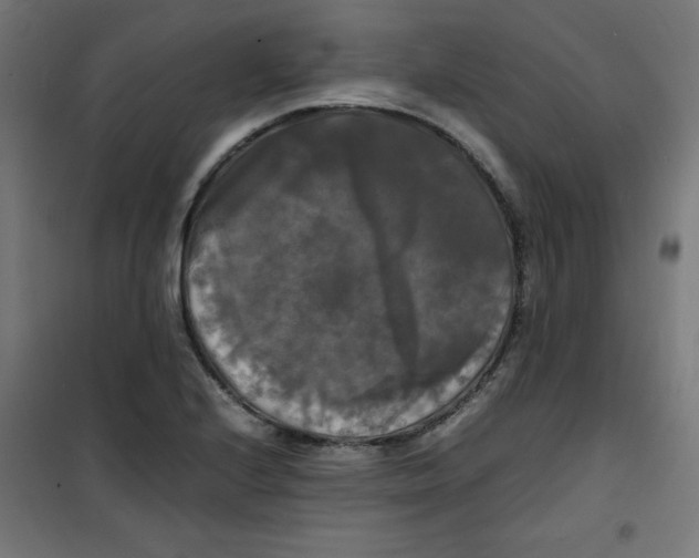 X0000100311224200807031139