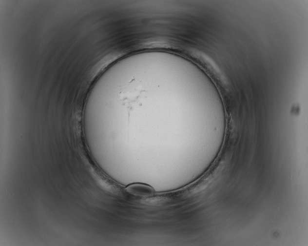 X0000100311225200807031139