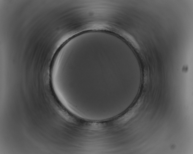 X0000100311226200807031139