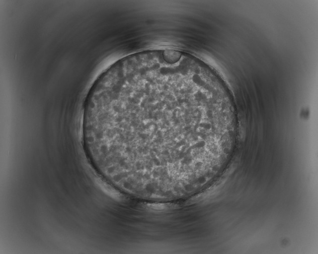 X0000100311227200807031139