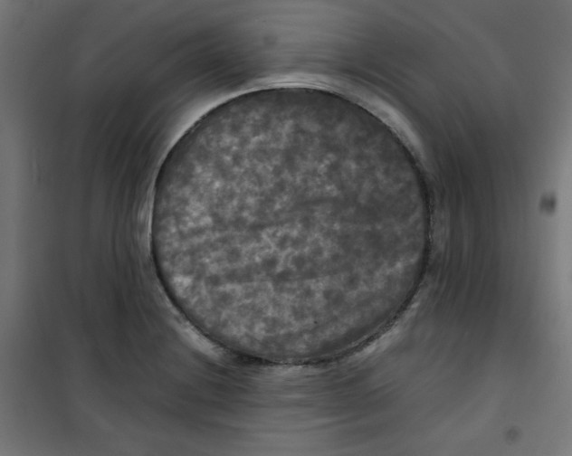 X0000100311228200807031139