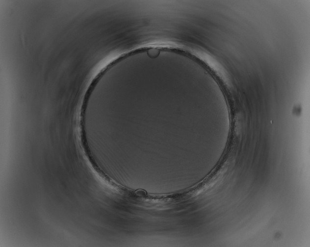X0000100311229200807031139